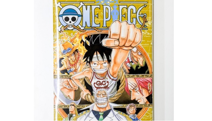 ポスト コロナ時代のチーム論 新時代のリーダーは One Piece のコビー D S Journal Dsj 採用で組織をデザインする 特集