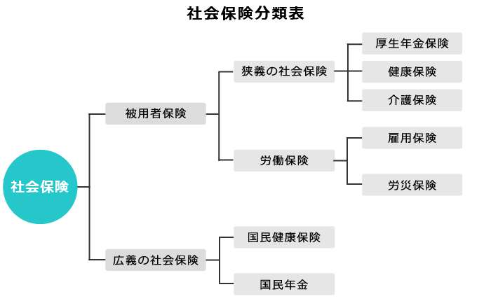 社会保険分類表