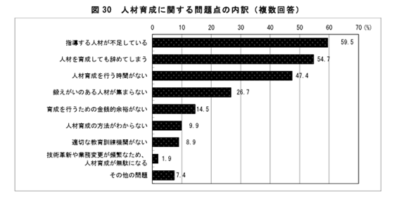 人材育成に関する問題点の内訳